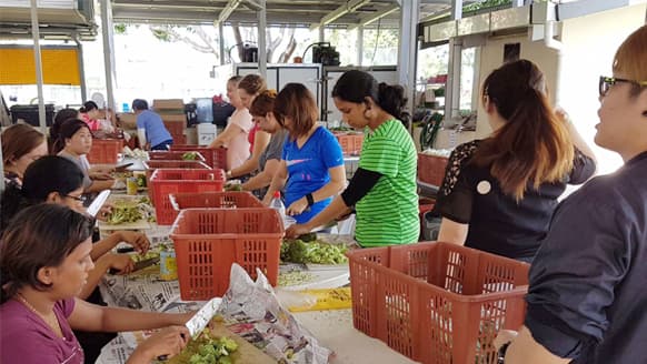 在线健康市场Connexion亚洲给予它的业务